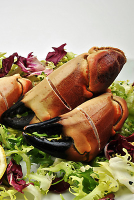 포토 JPG 해외이미지 음식 다이어트 건강 육류 어류 요리 사람없음 저녁식사 샐러드 게 신선 맛 먹기 만족 유기농 해외202004 해외포토 웰빙 감정 컨셉 식재료 모션 갑각류 식사 수중동물 파일형식 이미지허브