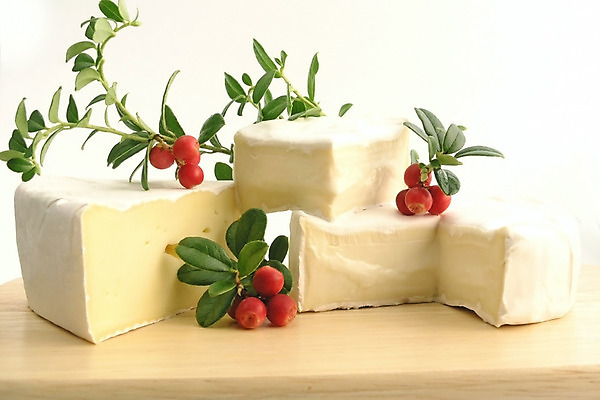 포토 JPG 해외이미지 음식 잎 다이어트 과일 디저트 치즈 산 사람없음 목재 식사 저녁식사 나뭇가지 먹기 프랑스어 고립 크랜베리 해외202004 해외포토 나무 식물 문자 열매 재료 모션 유제품 건강 파일형식 이미지허브