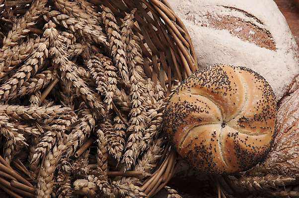 포토 JPG 해외이미지 식물 구름 전통 음식 빵 조각 백그라운드 다이어트 채소 과일 자연 탁자 하늘 아침 치즈 건조 파스타 건강 옥수수 씨앗 사람없음 목재 파란색 빛 갈색 주방 식사 빵집 맛 아침식사 상품 굽기 향수 준비 유기농 심플 밀가루 꿀 덩어리 작살 호밀 귀리 해외202004 해외포토 주간 자연요소 나무 웰빙 컬러 가구 컨셉 재료 유제품 곡류 서양음식 상점 화장품 가루 구이 생태계 파일형식 이미지허브