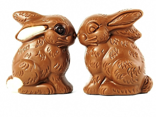 포토 JPG 해외이미지 전통 계절 음식 휴가 디저트 부활절 기념 사탕 선물 사랑 사람없음 장식 과자 초콜릿 계란 축제 놀람 봄 흰색 토끼 닫기 달콤 4월 설탕 먹기 기회 사냥 발견 고립 해외202004 해외포토 기념일 감정 컬러 포유류 모션 표정 반려동물 알 날짜 맛 파일형식 이미지허브