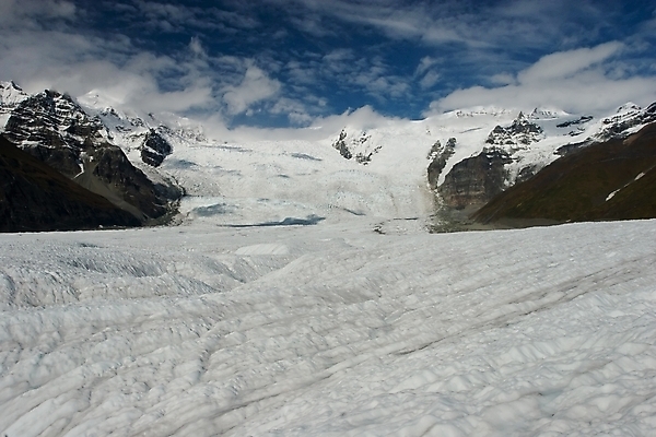 포토 JPG 해외이미지 나무 구름 공원 백그라운드 겨울 자국 자연 하늘 휴가 산 풍경 사람없음 야외 초록색 물 걷기 얼음 미국 트래킹 하이킹 시골 황무지 숲 배낭여행 산등성이 빙하 알래스카 고립 리갈 전국 절정 해외202004 해외포토 자연요소 식물 계절 공공시설 컬러 여행 북아메리카 모션 레저 생태계 파일형식 이미지허브
