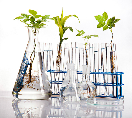 포토 JPG 해외이미지 식물 실내 실험 사람없음 액체 화학 실험실 시험관 흰배경 비커 화학실험 둥근플라스크 시험관대 해외202004 해외포토 과학 백그라운드 실험기구 내부 흰색 플라스크 파일형식이미지허브 