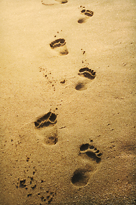 포토 JPG 해외이미지 아시아 길 모래 파도 바다 여행 백그라운드 맨발 자연 휴가 휴식 풍경 해변 사람없음 야외 물 여름 모래사장 햇빛 걷기 맑음 일몰 산책 젖음 자유 황금 중앙 인쇄 발자국 지중해 장면 동쪽 칠면조 단계 선로 양발 각인 해외202004 해외포토 자연요소 계절 나라 컨셉 자국 모션 발 조류 날씨 태양 노을 방향 생태계 파일형식 이미지허브