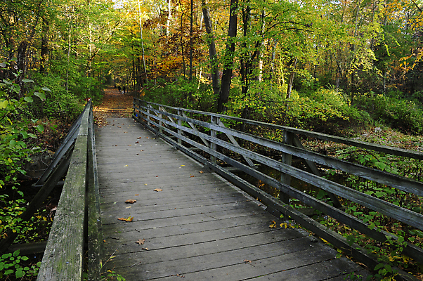 포토 JPG 해외이미지 길 자국 자연 사람없음 하이킹 황무지 숲 해외202004 해외포토 레저 생태계 파일형식 이미지허브