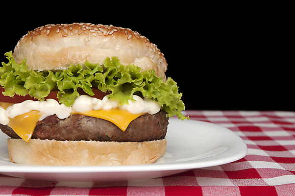 포토 JPG 해외이미지 접시 검은배경 패스트푸드 실내 사람없음 한개 햄버거 인스턴트 정크푸드 체크무늬 해외202004 해외포토 1 식기 음식 백그라운드 무늬 내부 검은색 파일형식 이미지허브