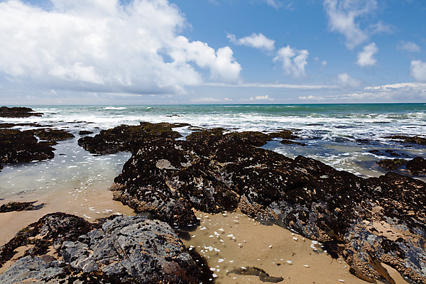 포토 JPG 해외이미지 주간 구름 해외풍경 바다 하늘 해변 사람없음 야외 미국 바위 캘리포니아 수평선 해외202004 해외포토 자연요소 해외 북아메리카 풍경 돌_바위 파일형식 이미지허브