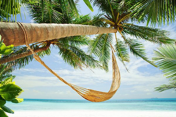 포토 JPG 해외이미지 라이프스타일 바다 여행 자연 휴가 휴식 손바닥 사람없음 물 태양 기쁨 꿈 휴게실 고독 그네 휴양지 해먹 이국적 파라다이스 해외202004 해외포토 자연요소 손 감정 컨셉 생활 장소 침대 생태계 파일형식 이미지허브