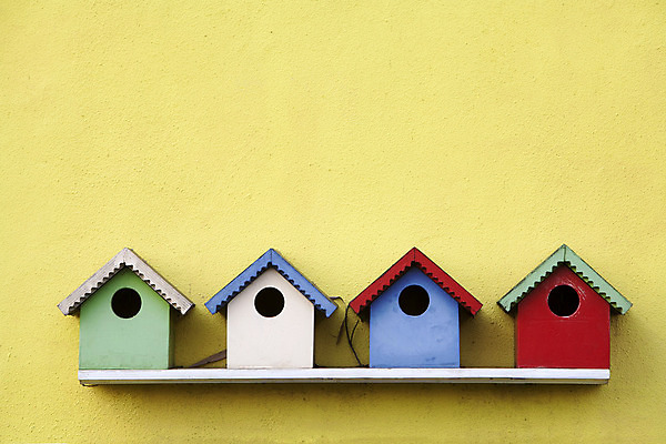 포토 JPG 해외이미지 벽 백그라운드 조류 부동산 거리 주택 사람없음 목재 가로 빨간색 초록색 파란색 컬러풀 노란색 페인트 구멍 네덜란드 일렬 새장 해외202004 해외포토 나무 동물 유럽 컬러 재료 건물 재산 케이지 파일형식 이미지허브