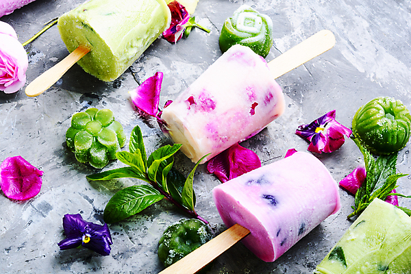 포토 JPG 해외이미지 꽃 아이스크림 사람없음 보라색 시원함 허브 막대아이스크림 해외202004 해외포토 식물 컬러 디저트 파일형식 이미지허브