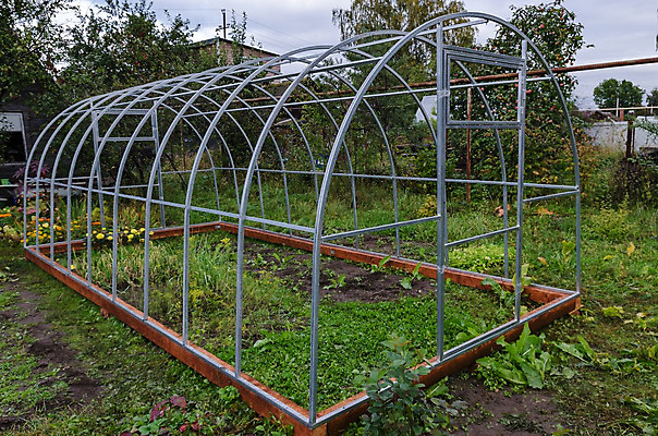 포토 JPG 해외이미지 식물 비즈니스 자연 사람없음 초록색 여름 농장 상점 정원 봄 놀이방 성장 원예 보여주기 바이오 온실 해외202004 해외포토 계절 컬러 농업 모션 취미 생태계 파일형식 이미지허브