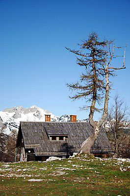 포토 JPG 해외이미지 나무 전통 외관 공원 유럽 자연 하늘 지붕 산 주택 따뜻함 사람없음 야외 건물 목재 초록색 마을 침묵 봄 시골 숲 오두막 시골집 알프스 통나무 장면 지역 멀리 산악지대 슬로베니아 옛날 전국 천창 해외202004 해외포토 식물 건축물 계절 공공시설 나라 컬러 재료 소리 생태계 파일형식 이미지허브
