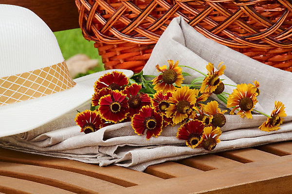 포토 JPG 해외이미지 계절 공원 꽃 꽃다발 가구 잎 벤치 의자 자연 휴식 앉기 사람없음 야외 목재 초록색 여름 바구니 환경 정원 침묵 봄 흰색 싱글 내추럴 해외202004 해외포토 나무 식물 공공시설 컬러 생활용품 컨셉 재료 모션 소리 생태계 파일형식 이미지허브