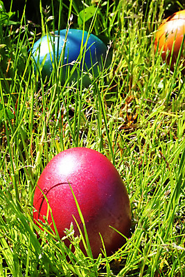 포토 JPG 해외이미지 식물 전통 디자인 계절 분홍색 꽃무늬 밭 자연 휴가 부활절 이벤트 사람없음 야외 장식 초록색 파란색 컬러풀 햇빛 노란색 계란 축제 봄 신선 시원함 심볼 해외202004 해외포토 기념일 꽃 컬러 무늬 농업 태양 알 생태계 파일형식 이미지허브