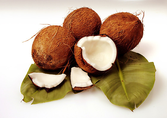 포토 JPG 해외이미지 나무 식물 음식 잎 과일 자연 건강 손바닥 사람없음 목재 초록색 갈색 견과류 코코넛 성분 남쪽 그리너리 해외202004 해외포토 손 컬러 재료 방향 생태계 파일형식 트랜드컬러 이미지허브