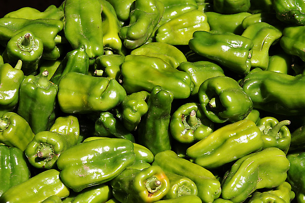 포토 JPG 해외이미지 잡화 음식 채소 피망 요리 사람없음 초록색 상점 신선 시장 농부 유기농 후추 쿠바 해외202004 해외포토 직업 웰빙 컬러 중앙아메리카 향신료 파일형식 이미지허브