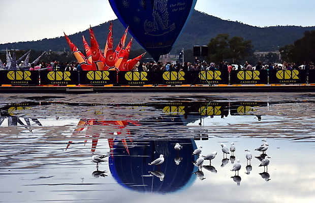 포토 JPG 해외이미지 주간 조류 풍경 사람없음 야외 반사 열기구 웅덩이 해외202004 해외포토 자연요소 동물 항공교통 파일형식 이미지허브