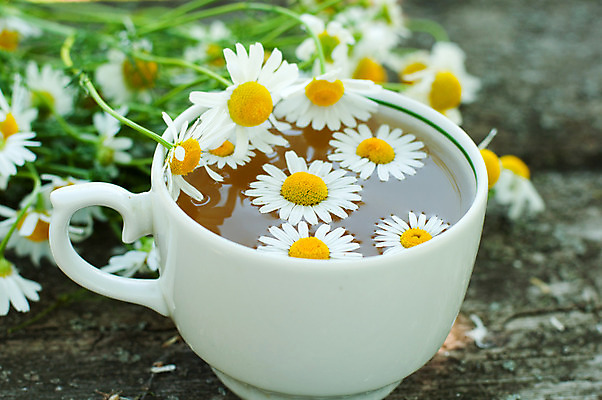 포토 JPG 해외이미지 식물 라이프스타일 웰빙 꽃 음료 음식 백그라운드 잎 자연 유리 휴식 건강 사람없음 컵 물 약 스파 머그컵 흰색 신선 뜨거움 투명 개화 사발 닫기 차 약초 허브 유기농 데이지 슛 아로마테라피 테라피 내추럴 정물화 캐모마일 카피스페이스 해외202004 해외포토 자연요소 식기 컬러 컨셉 의학 모션 재질 생활 뷰티 공백 풀_식물 사기그릇 그림 생태계 파일형식 이미지허브