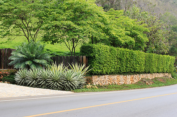 포토 JPG 해외이미지 나무 식물 도로 길 벽 여행 자동차 산 풍경 사람없음 야외 목재 가로 초록색 여름 울타리 햇빛 회색 사막 바위 소나무 보행로 선택 고독 언덕 산등성이 길이 굴곡 방법 화강암 해외202004 해외포토 계절 감정 육상교통 컬러 컨셉 재료 교통시설 담장 태양 암석 돌_바위 파일형식 이미지허브