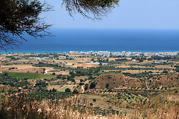 포토 JPG 해외이미지 나무 식물 유럽 선 백그라운드 밭 농업 자연 풍경 사람없음 야외 가로 세로 초록색 여름 농장 농경지 환경 흐름 시골 떨어짐 숲 땅 지중해 그리스 올리브 조경 장면 호스 상록수 해외202004 해외포토 계절 열매 나라 산업 바다 컬러 컨셉 생태계 파일형식 이미지허브