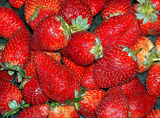 포토 JPG 해외이미지 음식 백그라운드 과일 자연 딸기 디저트 건강 사람없음 빨간색 정원 신선 달콤 맛 먹기 유기농 내추럴 숙성 해외202004 해외포토 웰빙 컬러 컨셉 모션 생태계 파일형식 이미지허브