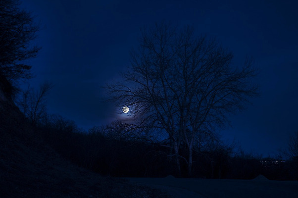 포토 JPG 해외이미지 나무 구름 계절 공원 실루엣 별 도로 길 선 여행 백그라운드 겨울 곡선 교통시설 자연 하늘 날씨 산 풍경 사람없음 야외 목재 파란색 빛 검은색 어둠 할로윈 안개 달 가을 시골 소나무 야간 숲 신비 무서움 달빛 가득함 장면 공상 빛망울 방법 뿌연 해외202004 해외포토 자연요소 식물 공공시설 감정 컬러 교통 컨셉 재료 촬영기법 시설 생태계 파일형식 이미지허브