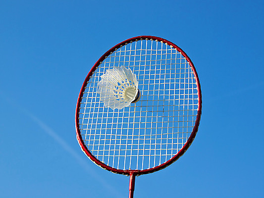 포토 JPG 해외이미지 직업 꽃 행복 줄 스포츠 올림픽 공 관계 놀이 하늘 휴식 경기 사람없음 파란색 세트 중국 봄 장비 게임 라켓 오픈 그물 진동 속도 클럽 배드민턴 기어 더블 법정 왕자 토너먼트 플레이어 해외202004 해외포토 식물 계절 감정 아시아 스포츠용품 컬러 컨셉 구기 파일형식 이미지허브