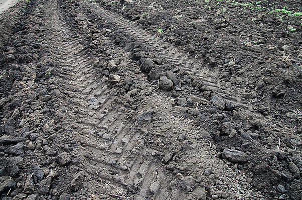 포토 JPG 해외이미지 구름 계절 산업 지구 백그라운드 컨셉 잎 농업 비즈니스 자연 하늘 건조 씨앗 풍경 사람없음 여름 파란색 농작물 마을 환경 검은색 봄 수확 성장 가을 시골 뜨거움 땅 시리얼 만취 질감 트랙 먼지 장면 진흙 가뭄 트랙터 밀짚 내추럴 땅바닥 쟁기 수평선 세련 해외202004 해외포토 자연요소 식물 음식 컬러 날씨 바닥 짚 농기계 생태계 특수차량 술취함 파일형식 이미지허브
