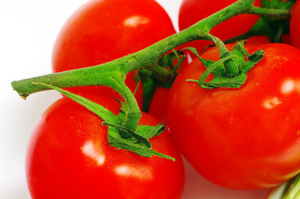 포토 JPG 해외이미지 식물 음식 줄기 백그라운드 잎 농업 다이어트 토마토 채소 오렌지 과일 재료 자연 건강 그림자 요리 사람없음 빨간색 초록색 정원 샐러드 젖음 흰색 신선 원형 체리 맛 떨어짐 작음 먹기 향신료 오브젝트 유기농 날것 내추럴 고립 숙성 식용 채식주의자 해외202004 해외포토 도형 웰빙 산업 컬러 컨셉 모션 크기 생태계 채식 향미료 파일형식 이미지허브