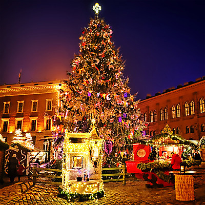 포토 JPG 해외이미지 유럽 크리스마스 겨울 휴가 전등 새해 선물 사람없음 크리스마스트리 성당 축하 시장 상품 무역 정사각형 리가 해외202004 해외포토 도형 계절 기념일 나라 산업 컨셉 종교건축 조명 파일형식 이미지허브