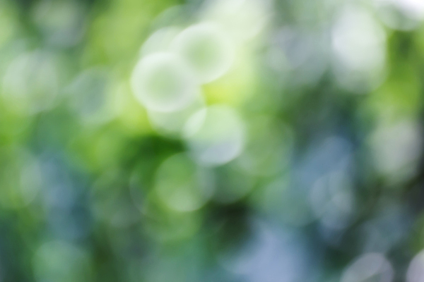 포토 JPG 해외이미지 사람없음 초록색 소프트포커스 보케 빛망울 블러 블러효과 보케백그라운드 해외202004 해외포토 컬러 백그라운드 촬영기법 빛 파일형식 효과 이미지허브