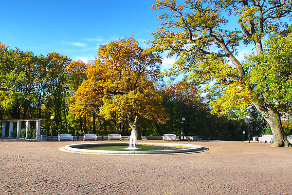 포토 JPG 해외이미지 나무 식물 계절 공원 도로 단풍 잎 벤치 의자 자연 하늘 풍경 사람없음 야외 장식 초록색 물 노란색 정원 폭포 가을 연못 도시 분수 싱글 장면 정중 해외202004 해외포토 자연요소 공공시설 길 컬러 가구 컨셉 교통시설 생태계 파일형식 이미지허브