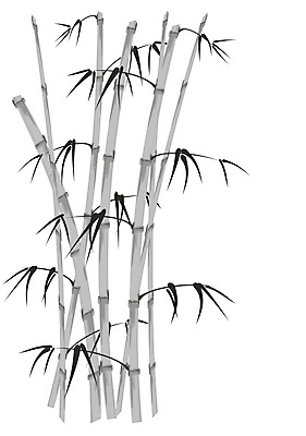 포토 JPG 해외이미지 아시아 일러스트 자연 흑백 사람없음 일본 중국 대나무 해외202004 해외일러스트 나무 나라 촬영기법 생태계 파일형식 이미지허브