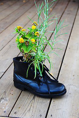 포토 JPG 해외이미지 식물 디자인 꽃 화분 백그라운드 잎 농업 자연 잔디 사람없음 야외 장식 초록색 햇빛 노란색 꽃병 성장 폐기물 샌들 원예 스타일링 심기 해외202004 해외포토 산업 컬러 신발 모션 취미 태양 쓰레기 생태계 파일형식 이미지허브