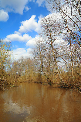 포토 JPG 해외이미지 나무 호수 물결 여행 잎 오렌지 자연 날씨 풍경 사람없음 빨간색 물 여름 파란색 강 태양 반사 일출 수중 젖음 가을 나뭇가지 죽음 개울 숲 땅 홍수 방향 속도 타이어 장면 멀리 내추럴 깊이 넘어짐 생태학 재앙 허리케인 수평선 비용 해외202004 해외포토 자연요소 식물 계절 교육 컬러 과일 모션 경제 노을 자연재해 생태계 파일형식 이미지허브