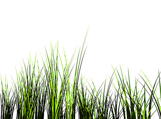 포토 JPG 해외이미지 식물 백그라운드 잎 꽃무늬 밭 자연 벽지 추상 건강 잔디 사람없음 야외 장식 초록색 물 여름 3D 환경 정원 침묵 봄 활발 성장 흰색 신선 투명 칼날 닫기 이슬 유기농 윤곽 지역 고립 해외202004 해외포토 자연요소 웰빙 계절 꽃 컬러 컨셉 무늬 농업 모션 소리 디지털합성 생태계 파일형식 이미지허브