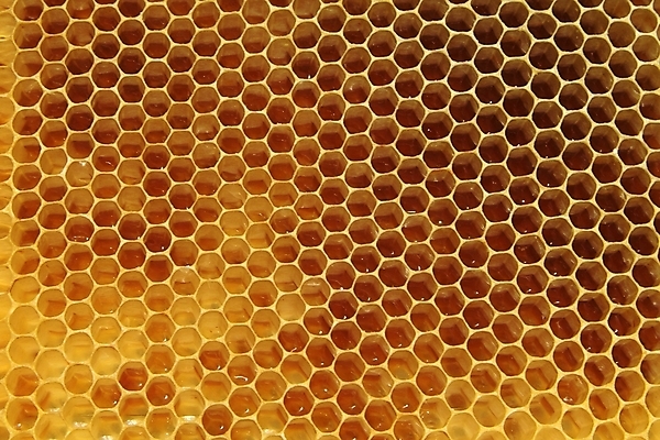 포토 JPG 해외이미지 식물 동물 꽃 음식 곤충 백그라운드 패턴 농업 자연 프레임 세포 건강 사람없음 약 환경 벚꽃 머리빗 황금 닫기 달콤 꿀벌 먹기 영화 유기농 바쁨 꽃가루 꿀 벌집 내추럴 밀랍 식민지 양봉 양봉장 해외202004 해외포토 웰빙 산업 무늬 의학 모션 문화예술 미용용품 맛 벌_곤충 가루 생태계 파일형식 이미지허브