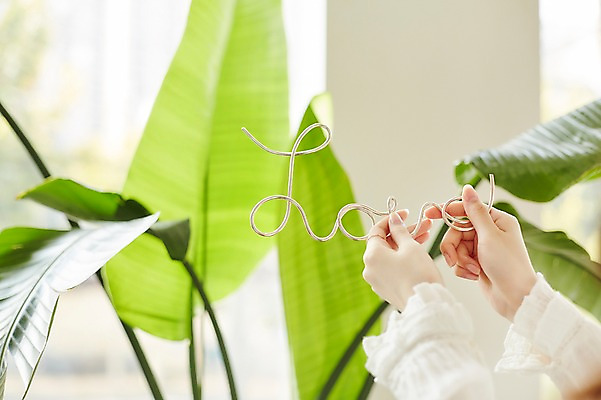 포토 JPG 식물 손 여자 실내 사랑 한명 들기 20대 성인 아웃포커스 신체부위 성인여자한명만 국내포토 1 감정 모션 촬영기법 사람 청년 내부 여자한명만 성인여자만 파일형식