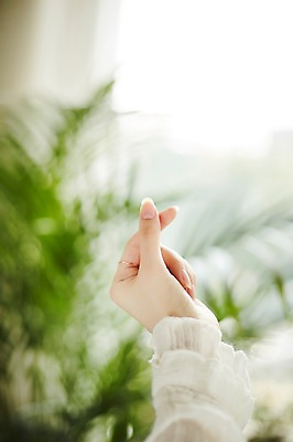 포토 JPG 식물 손 여자 실내 한명 손짓 20대 성인 아웃포커스 신체부위 손하트 성인여자한명만 국내포토 1 모션 촬영기법 사람 청년 내부 여자한명만 성인여자만 파일형식