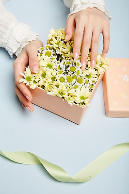 포토 JPG 손 여자 꽃 리본 실내 한명 20대 성인 신체부위 선물상자 잡기 성인여자한명만 국내포토 식물 1 모션 선물 사람 청년 내부 상자 여자한명만 성인여자만 파일형식