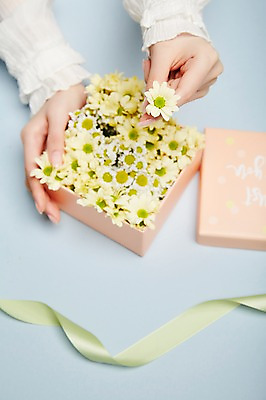 포토 JPG 손 여자 꽃 리본 실내 한명 들기 20대 성인 아웃포커스 신체부위 선물상자 잡기 성인여자한명만 국내포토 식물 1 모션 촬영기법 선물 사람 청년 내부 상자 여자한명만 성인여자만 파일형식