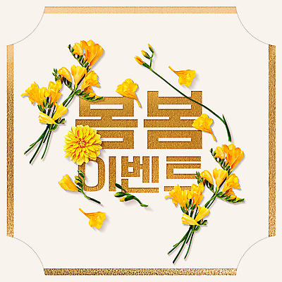 PSD 편집이미지 꽃 사각프레임 프레임 이벤트 타이포그라피 한글 사람없음 노란색 봄 금박 금박장식 프리지어 이미지편집 식물 문자 계절 컬러 장식 사각형 파일형식