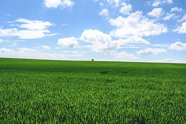 포토 JPG 주간 구름 유럽 유럽풍경 하늘 풍경 초원 사람없음 야외 프랑스 보리 파리_프랑스 국내포토 자연요소 나라 곡류 파일형식