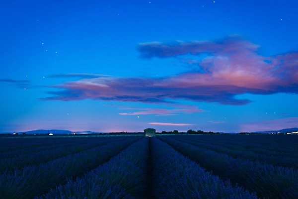 포토 JPG 구름 유럽 밭 유럽풍경 하늘 풍경 사람없음 야외 새벽 프랑스 야간 라벤더 프로방스 국내포토 자연요소 꽃 나라 농업 허브 파일형식