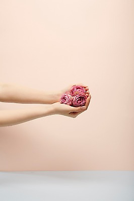 포토 JPG 스튜디오촬영 손 여자 실내 한명 들기 20대 성인 신체부위 뷰티 장미 성인여자한명만 국내포토 1 꽃 모션 사람 청년 내부 여자한명만 성인여자만 파일형식