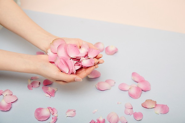 포토 JPG 스튜디오촬영 손 여자 꽃잎 꽃 실내 한명 들기 20대 성인 신체부위 뷰티 낙화 성인여자한명만 국내포토 식물 1 모션 사람 청년 내부 여자한명만 성인여자만 파일형식