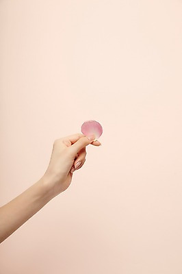 포토 JPG 스튜디오촬영 손 여자 꽃잎 실내 한명 들기 20대 성인 신체부위 뷰티 성인여자한명만 국내포토 1 꽃 모션 사람 청년 내부 여자한명만 성인여자만 파일형식