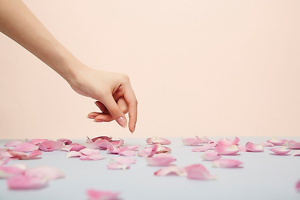 포토 JPG 스튜디오촬영 손 여자 꽃잎 실내 한명 20대 성인 아웃포커스 신체부위 뷰티 잡기 낙화 성인여자한명만 국내포토 1 꽃 모션 촬영기법 사람 청년 내부 여자한명만 성인여자만 파일형식