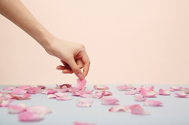 포토 JPG 스튜디오촬영 손 여자 꽃잎 실내 한명 20대 성인 아웃포커스 신체부위 뷰티 잡기 낙화 성인여자한명만 국내포토 1 꽃 모션 촬영기법 사람 청년 내부 여자한명만 성인여자만 파일형식