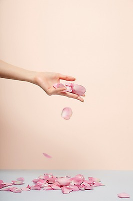 포토 JPG 스튜디오촬영 손 여자 꽃잎 실내 한명 들기 20대 성인 신체부위 뷰티 떨어짐 낙화 성인여자한명만 국내포토 1 꽃 컨셉 모션 사람 청년 내부 여자한명만 성인여자만 파일형식