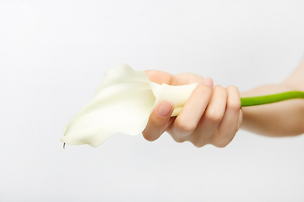 포토 JPG 스튜디오촬영 손 여자 꽃 실내 한명 20대 성인 신체부위 뷰티 잡기 성인여자한명만 국내포토 식물 1 모션 사람 청년 내부 여자한명만 성인여자만 파일형식